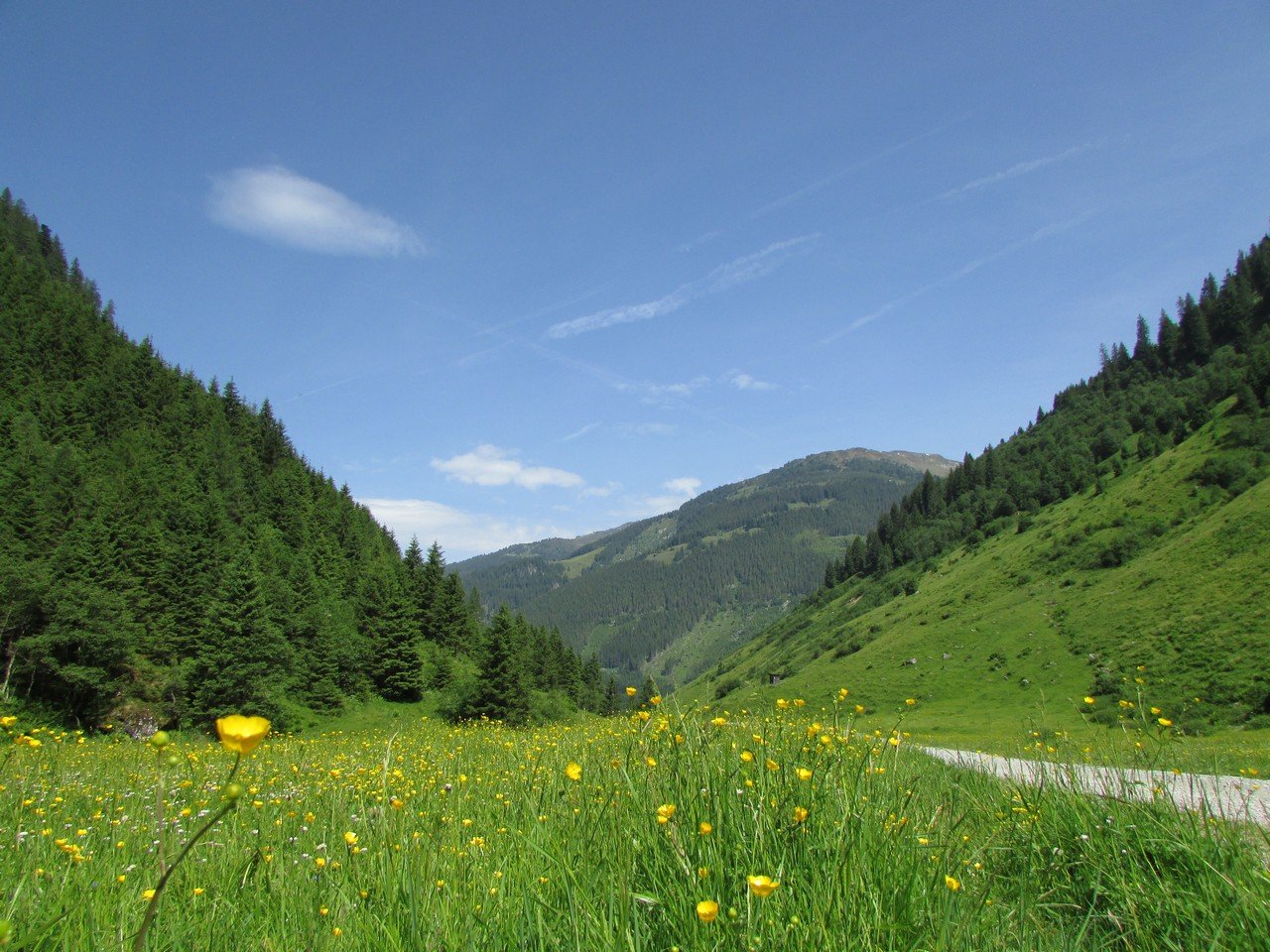Read more about the article Grieralm