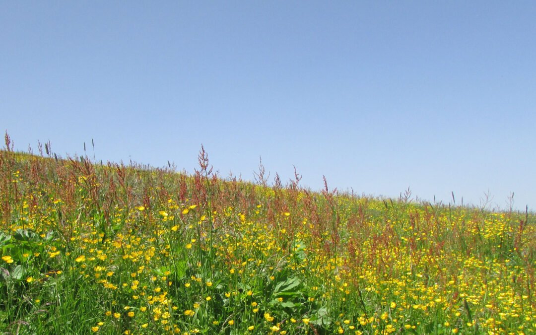 Laatste Dag – Stilluptal