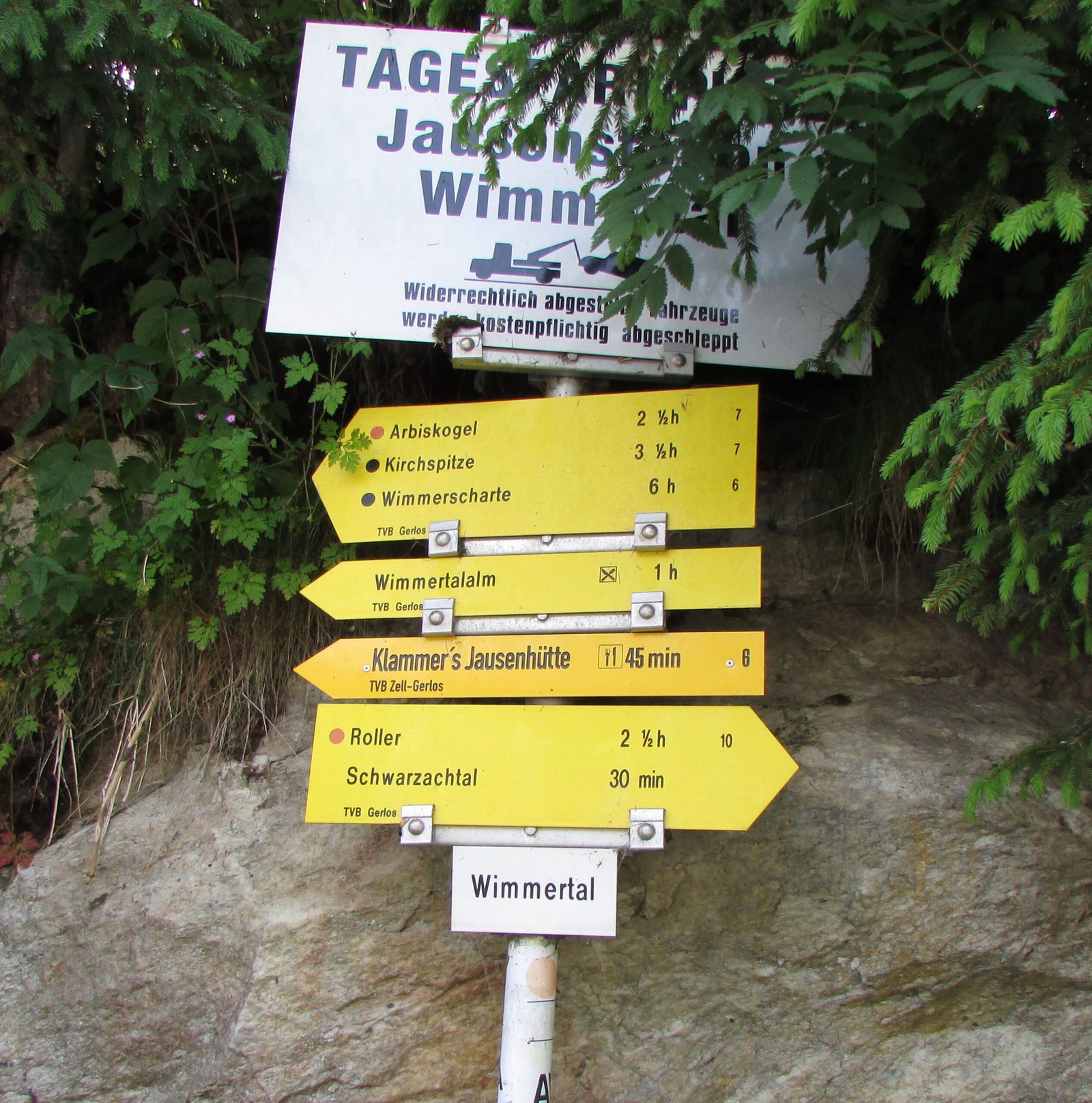 Read more about the article Wimmertalalm