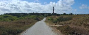 Read more about the article Een Tikkie Anders